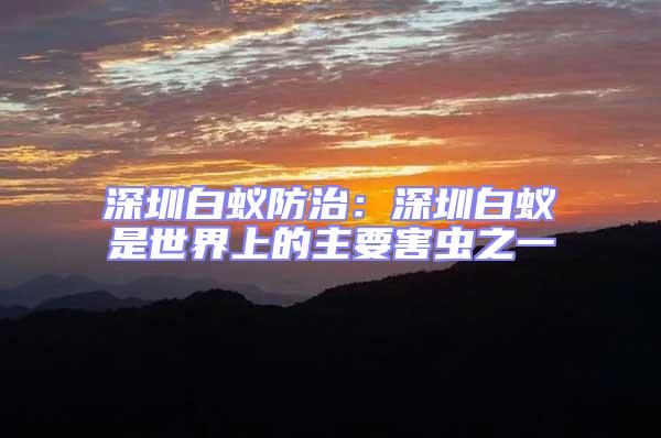 深圳白蟻防治:深圳白蟻是世界上的主要害蟲之一