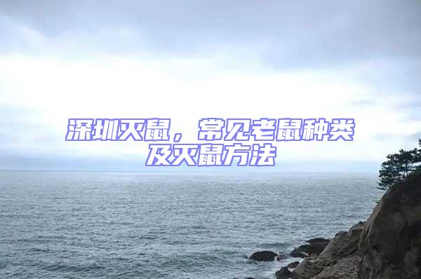 深圳滅鼠，常見老鼠種類及滅鼠方法