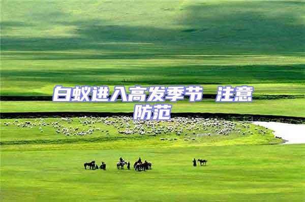 白蟻進入高發季節 注意防范