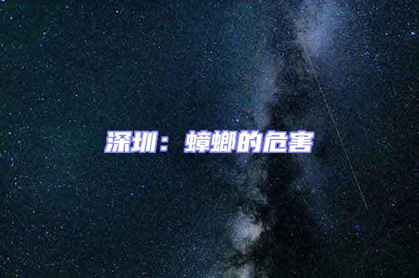 深圳:蟑螂的危害