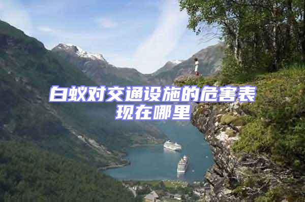 白蟻對交通設(shè)施的危害表現(xiàn)在哪里