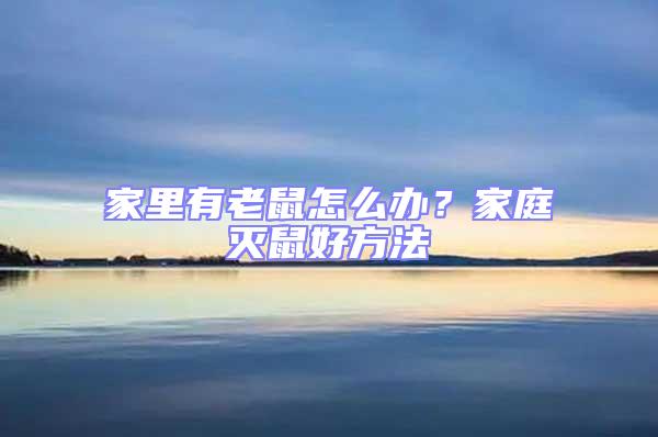 家里有老鼠怎么辦?家庭滅鼠好方法