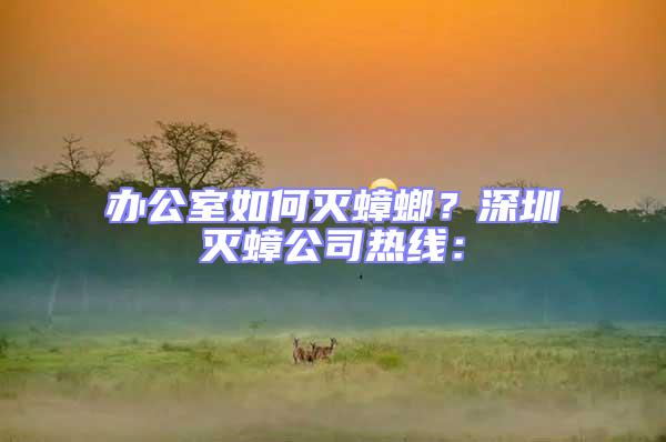 辦公室如何滅蟑螂?深圳滅蟑公司熱線: