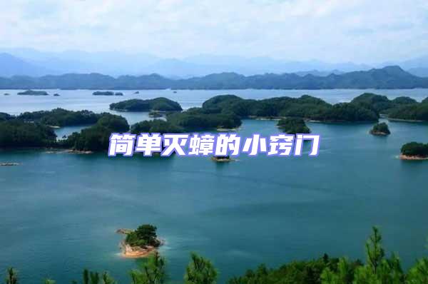 簡單滅蟑的小竅門