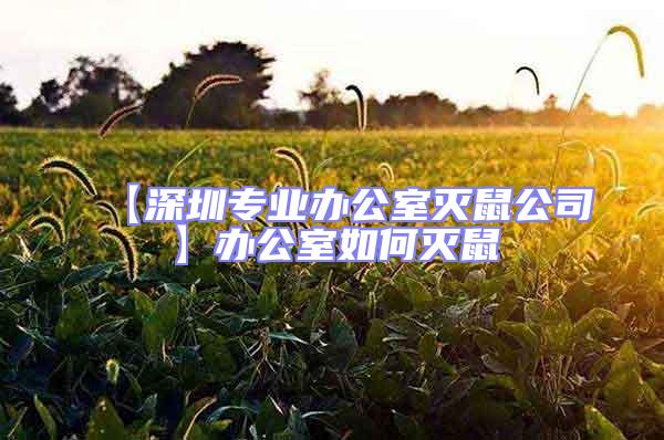 【深圳專業辦公室滅鼠公司】辦公室如何滅鼠