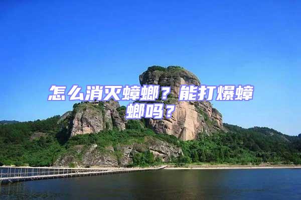 怎么消滅蟑螂?能打爆蟑螂嗎?