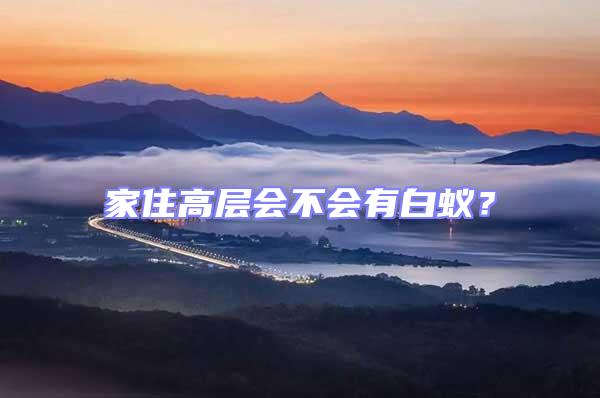 家住高層會不會有白蟻？