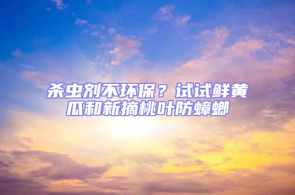 殺蟲劑不環保？試試鮮黃瓜和新摘桃葉防蟑螂
