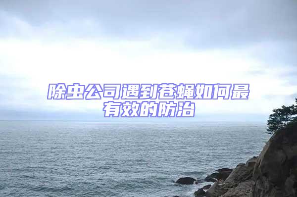 除蟲公司遇到蒼蠅如何最有效的防治