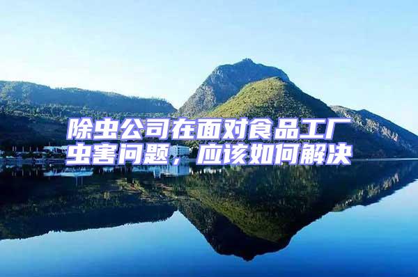 除蟲公司在面對食品工廠蟲害問題,應該如何解決