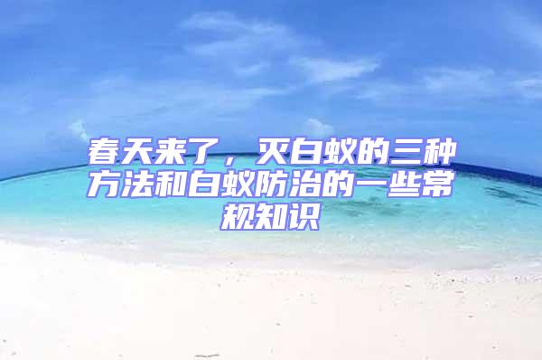 春天來了,滅白蟻的三種方法和白蟻防治的一些常規(guī)知識