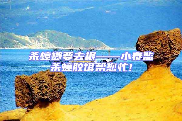 殺蟑螂要去根——小泰監(jiān)殺蟑膠餌幫您忙!