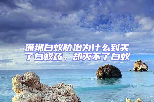 深圳白蟻防治為什么到買了白蟻藥,卻滅不了白蟻