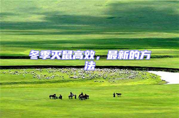 冬季滅鼠高效，最新的方法