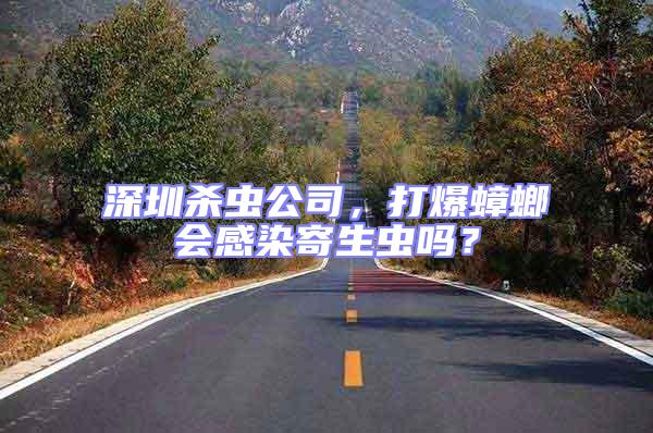 深圳殺蟲公司，打爆蟑螂會(huì)感染寄生蟲嗎？