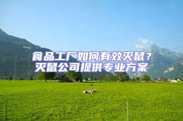 食品工廠如何有效滅鼠?滅鼠公司提供專(zhuān)業(yè)方案