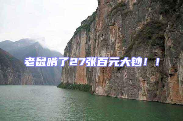 老鼠啃了27張百元大鈔！！