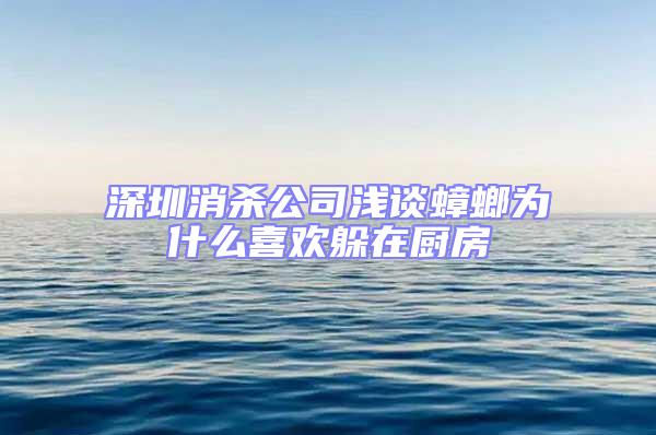 深圳消殺公司淺談蟑螂為什么喜歡躲在廚房