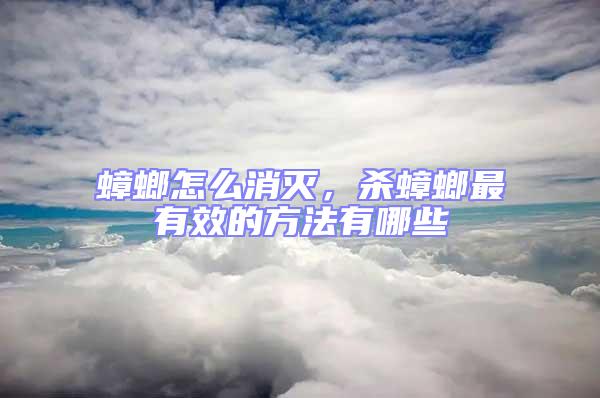 蟑螂怎么消滅，殺蟑螂最有效的方法有哪些