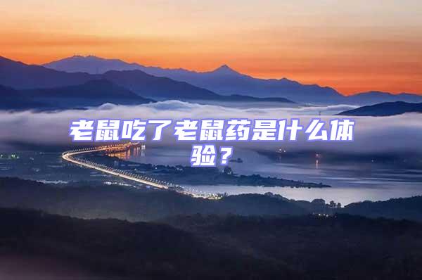 老鼠吃了老鼠藥是什么體驗(yàn)?