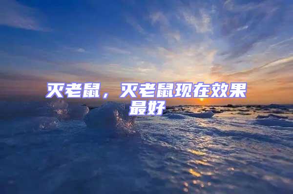 滅老鼠，滅老鼠現在效果最好