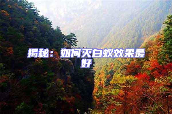 揭秘:如何滅白蟻效果最好