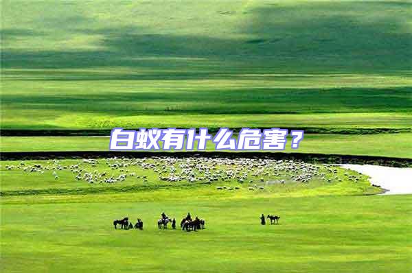 白蟻有什么危害？