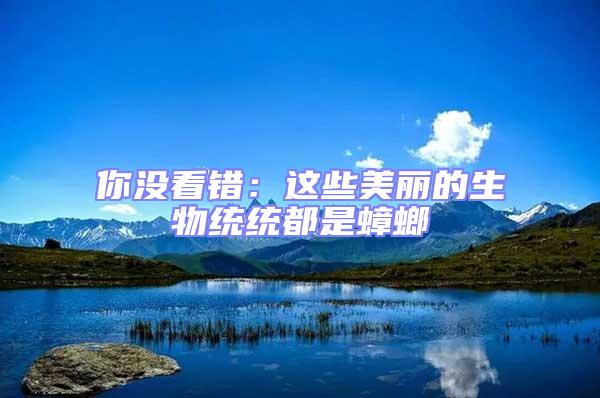 你沒看錯(cuò):這些美麗的生物統(tǒng)統(tǒng)都是蟑螂