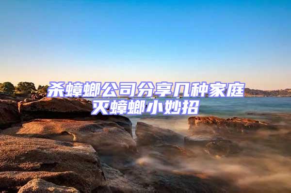 殺蟑螂公司分享幾種家庭滅蟑螂小妙招