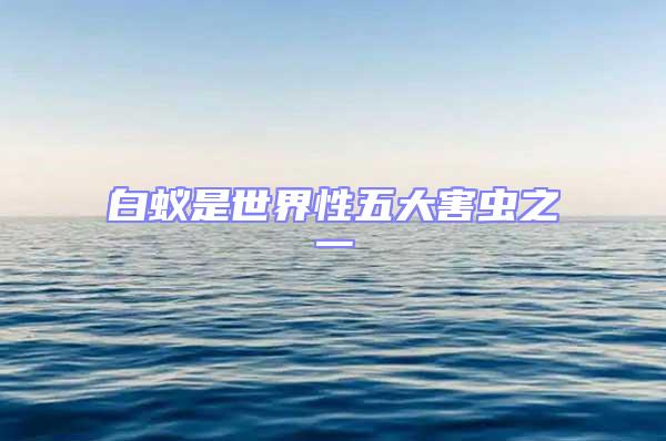白蟻是世界性五大害蟲之一