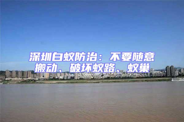 深圳白蟻防治:不要隨意搬動(dòng)、破壞蟻路、蟻巢