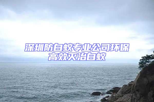 深圳防白蟻專業公司環保高效滅治白蟻