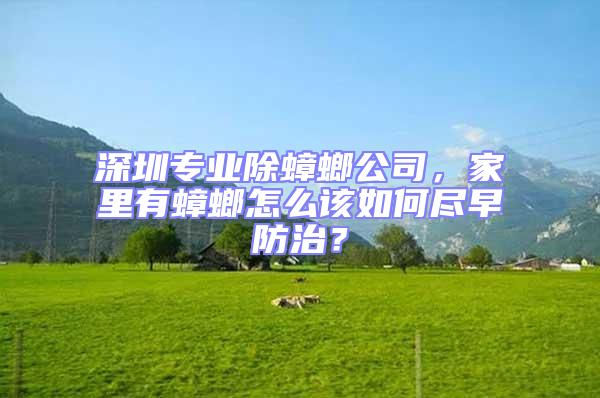 深圳專業(yè)除蟑螂公司，家里有蟑螂怎么該如何盡早防治？