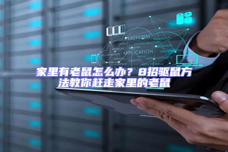 家里有老鼠怎么辦?8招驅(qū)鼠方法教你趕走家里的老鼠