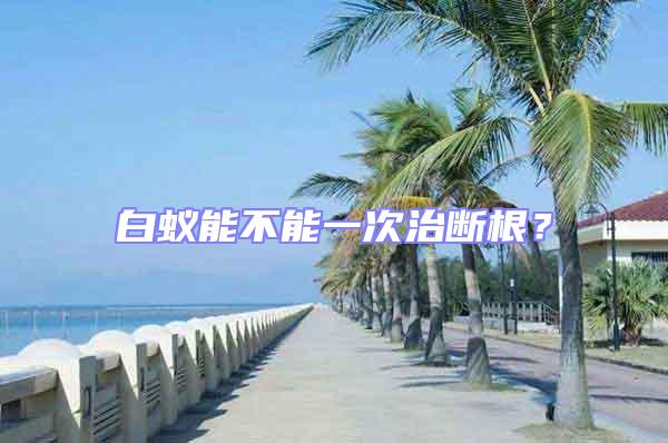 白蟻能不能一次治斷根?