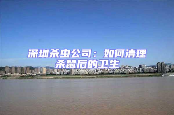 深圳殺蟲公司:如何清理殺鼠后的衛生