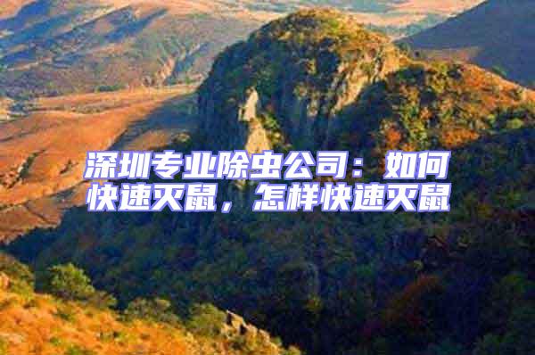 深圳專業(yè)除蟲公司:如何快速滅鼠,怎樣快速滅鼠