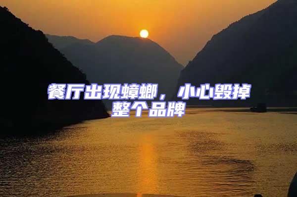 餐廳出現蟑螂,小心毀掉整個品牌