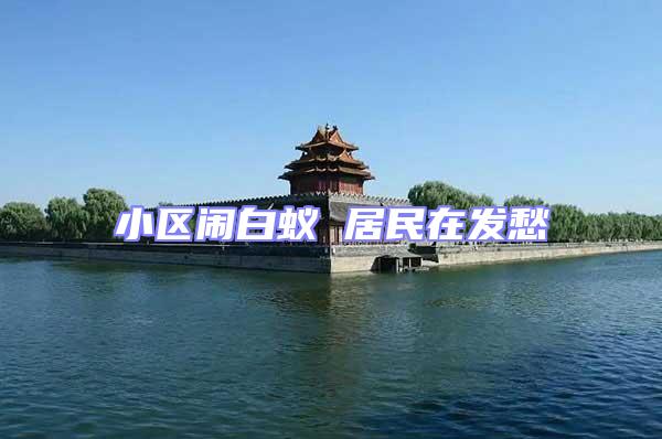 小區鬧白蟻 居民在發愁