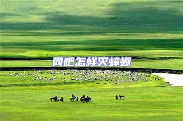 網吧怎樣滅蟑螂