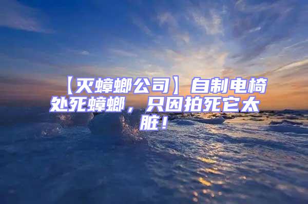 【滅蟑螂公司】自制電椅處死蟑螂,只因拍死它太臟!