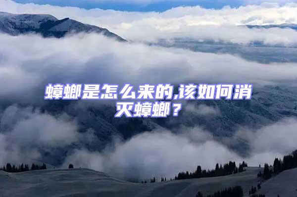 蟑螂是怎么來的,該如何消滅蟑螂?