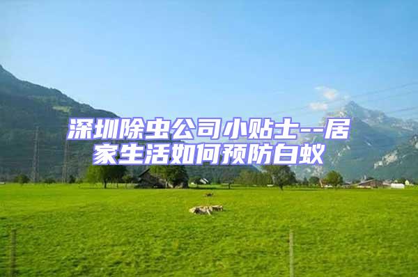 深圳除蟲公司小貼士--居家生活如何預防白蟻