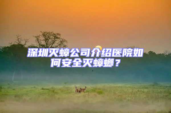 深圳滅蟑公司介紹醫院如何安全滅蟑螂？