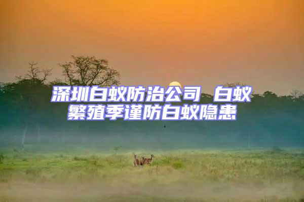 深圳白蟻防治公司 白蟻繁殖季謹防白蟻隱患