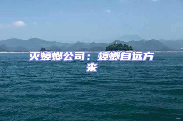 滅蟑螂公司:蟑螂自遠(yuǎn)方來