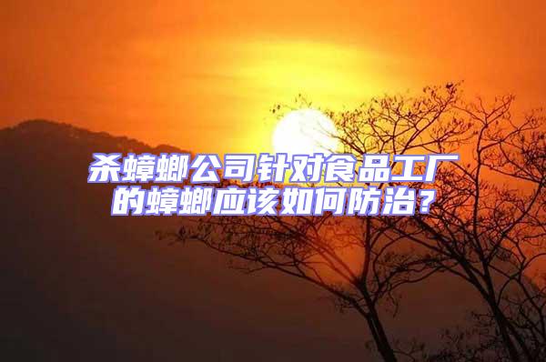 殺蟑螂公司針對食品工廠的蟑螂應該如何防治?