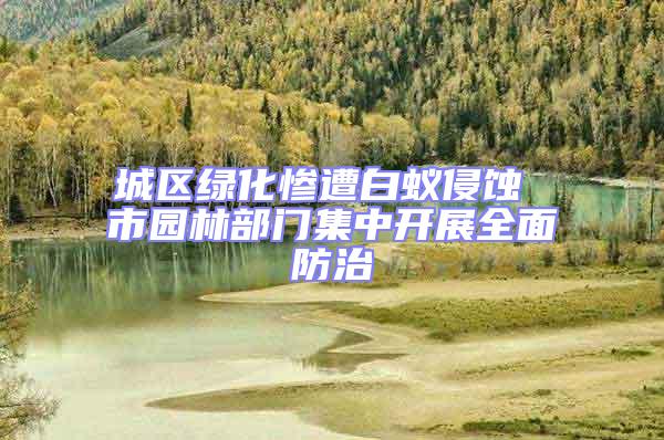 城區(qū)綠化慘遭白蟻侵蝕 市園林部門集中開展全面防治