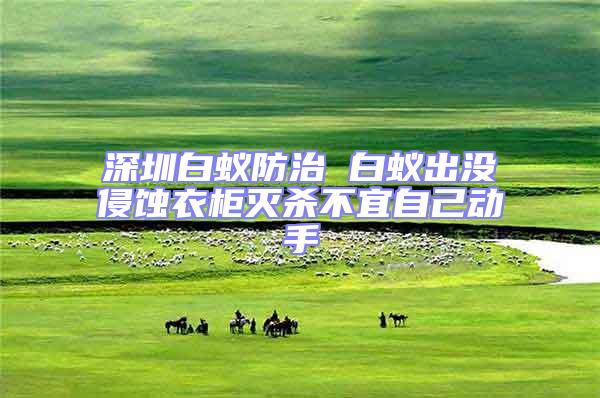 深圳白蟻防治 白蟻出沒侵蝕衣柜滅殺不宜自己動(dòng)手