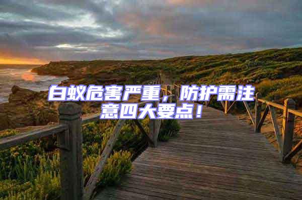 白蟻危害嚴(yán)重,防護需注意四大要點!